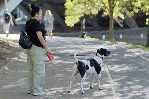 Woman with leashed dog